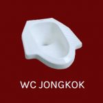 wc jongkok